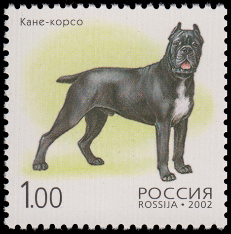 Почтовая марка с кане корсо в России
