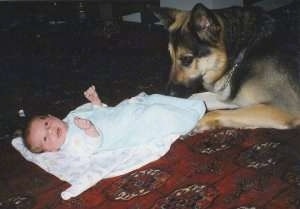 A black and tan German Shepherd is laying at the feet of a baby who is on the floor on top of a blanket.