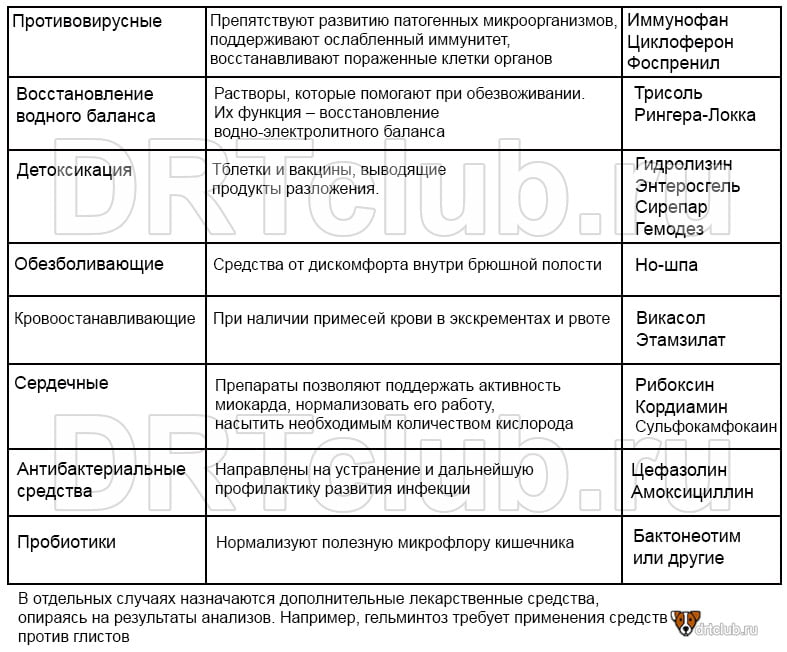 Лечение энтерита у собак