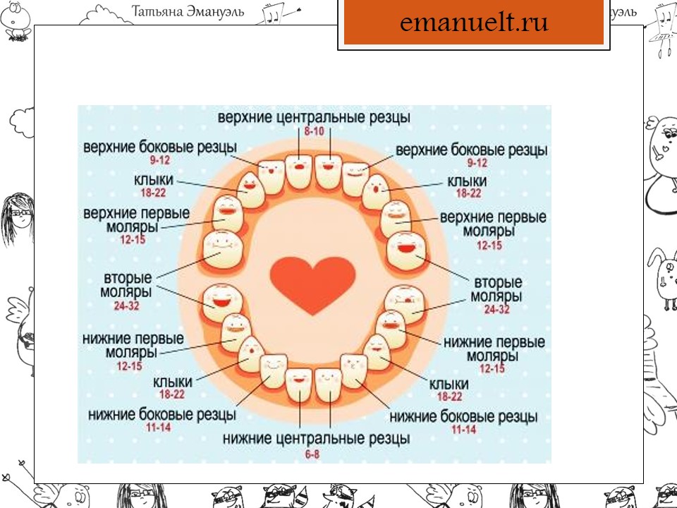 Первые зубы у младенцев последовательность во сколько фото