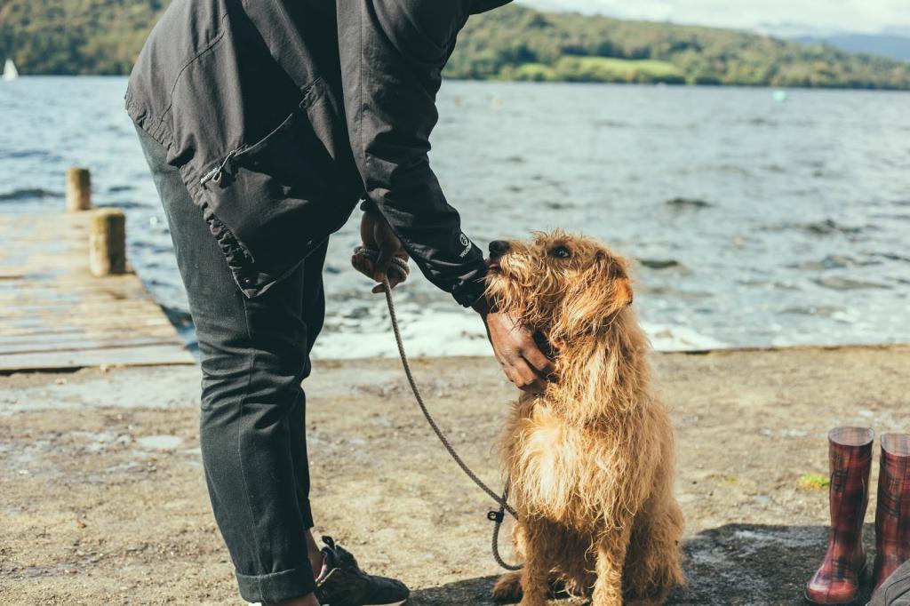 Человек и пес у озера