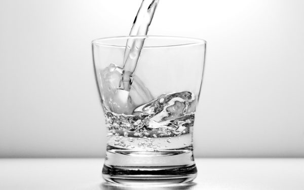 Употребление водки может негативно отразиться на здоровье питомца