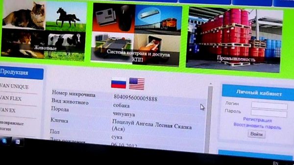 Многие российские базы данных объединены с международными