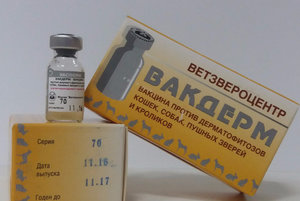Вакцина «Вакдерм»