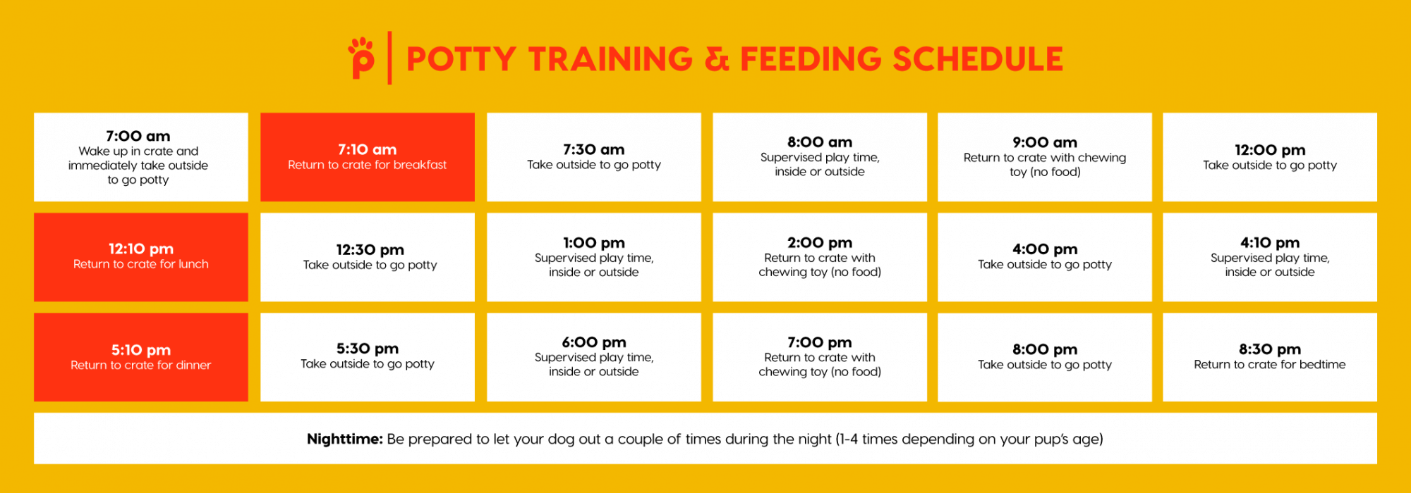 potty training schedule for puppy & feeding schedule 