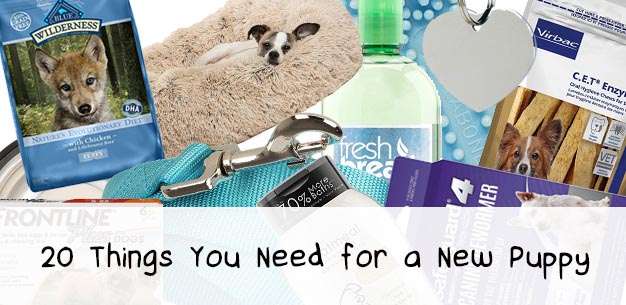20 Things You Need for a New Puppy
