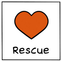 Sheltie Rescue: Sheltie Puppies for Adoption