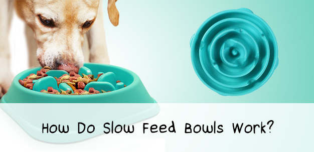 Slow Dog Feed Bowls