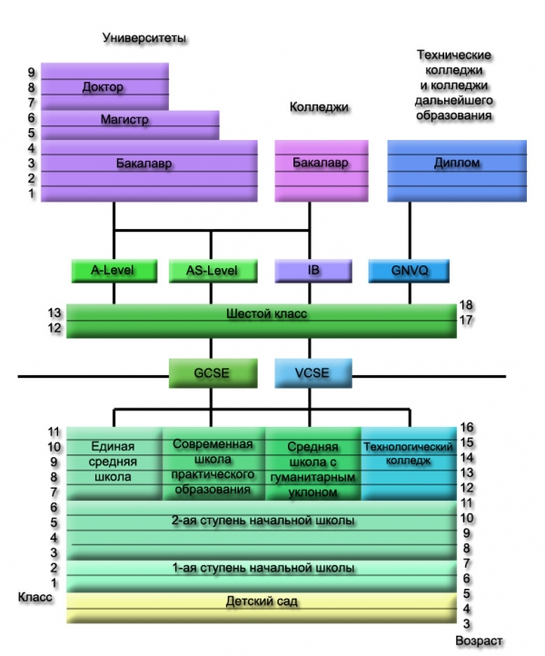 ступени образования в Англии