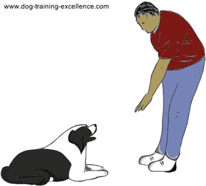 list of dog commands