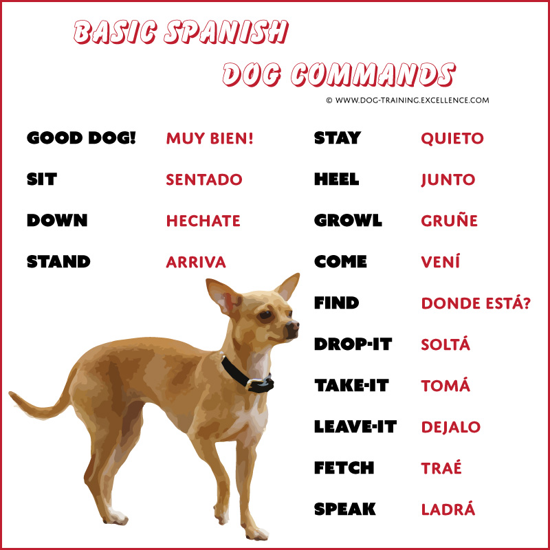 list of dog commands